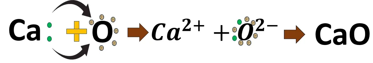 ক্যালসিয়াম অক্সাইডের গঠন- আয়নীয় ও সমযোজী যৌগ