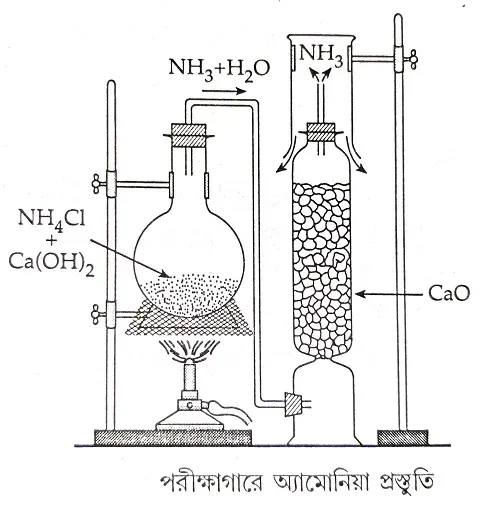 অ্যামোনিয়া প্রস্তুতি