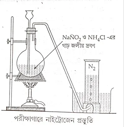 পরীক্ষাগারে নাইট্রোজেন প্রস্তুতি