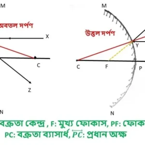 আলো- অবতল ও উত্তল দর্পণের কয়কেটি রাশি