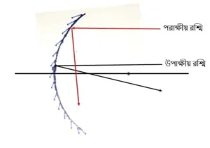 উপাক্ষীয় রশ্মি_ পরাক্ষীয় রশ্মি