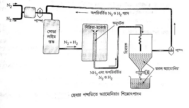 অ্যামোনিয়া প্রস্তুতির হেবারের পদ্ধতি- পরীক্ষাগার ও রাসায়নিক শিল্পে অজৈব রসায়ন