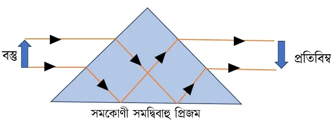 রশ্মিচিত্রের সাহায্যে দেখাও, কীরূপে একটি প্রিজম একটি অবশীর্ষ বস্তুর সমশীর্ষ প্রতিবিম্ব গঠন করে।