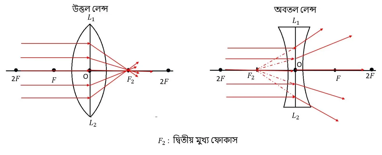 দ্বিতীয় মুখ্য ফোকাস