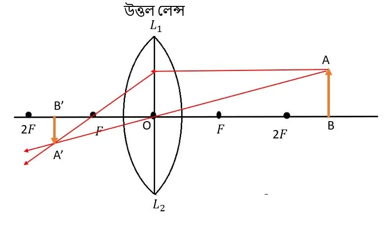 রৈখিক বিবর্ধন